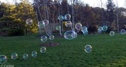 evening bubbles (1)