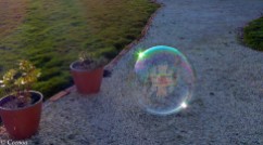 evening bubbles (2)
