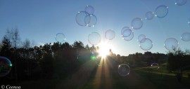 evening bubbles (4)