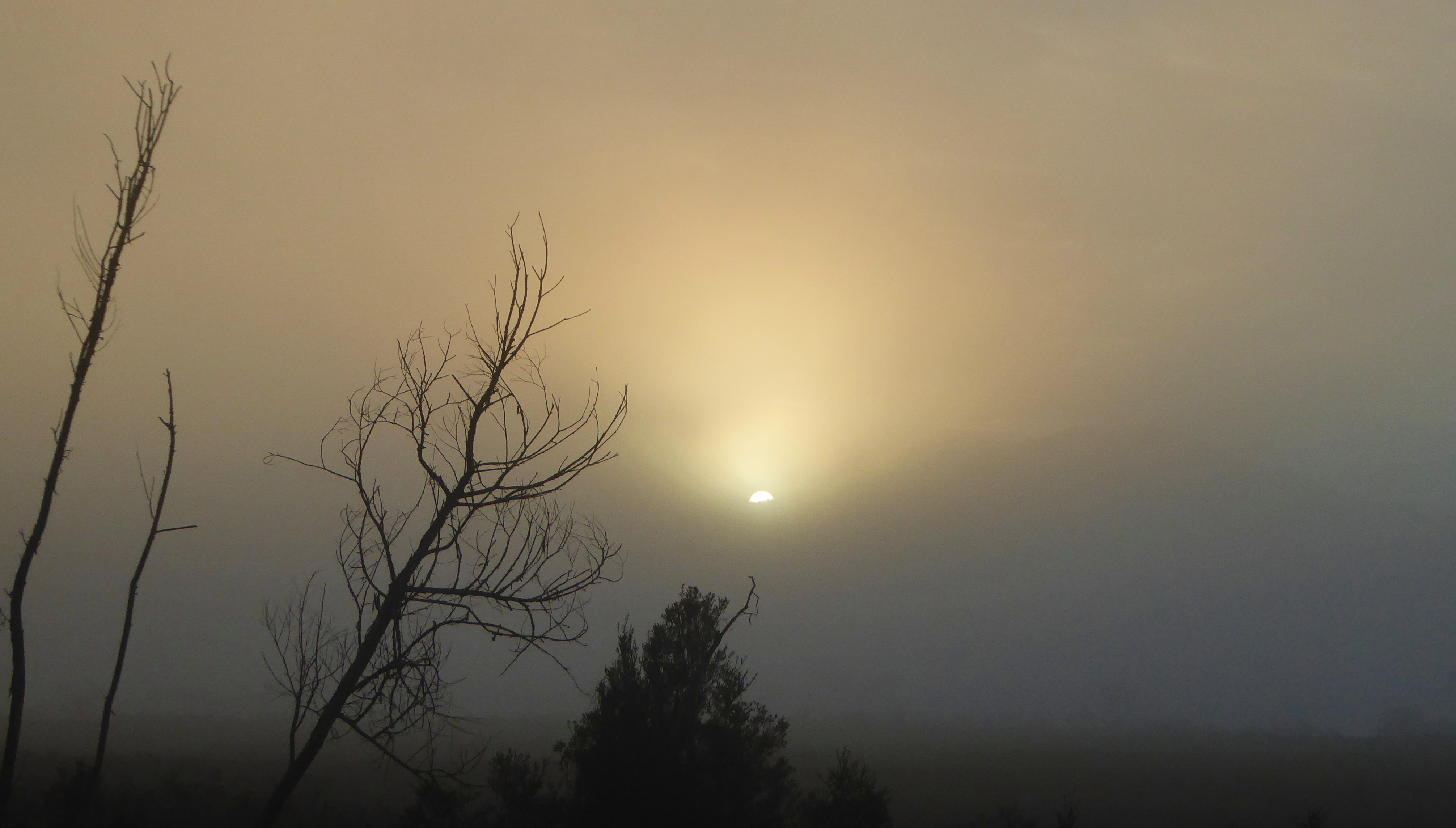 Sun Cresting through fog (2)