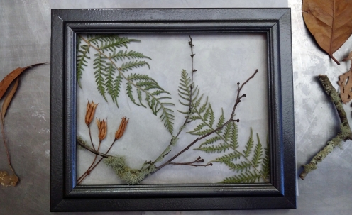 Fern, Seed and Twigs